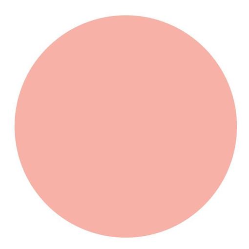 Изображение Контурная пудра с разглаживающим эффектом, "highligt peach" - "персик", 12гр, диаметр 59мм, без футляра
